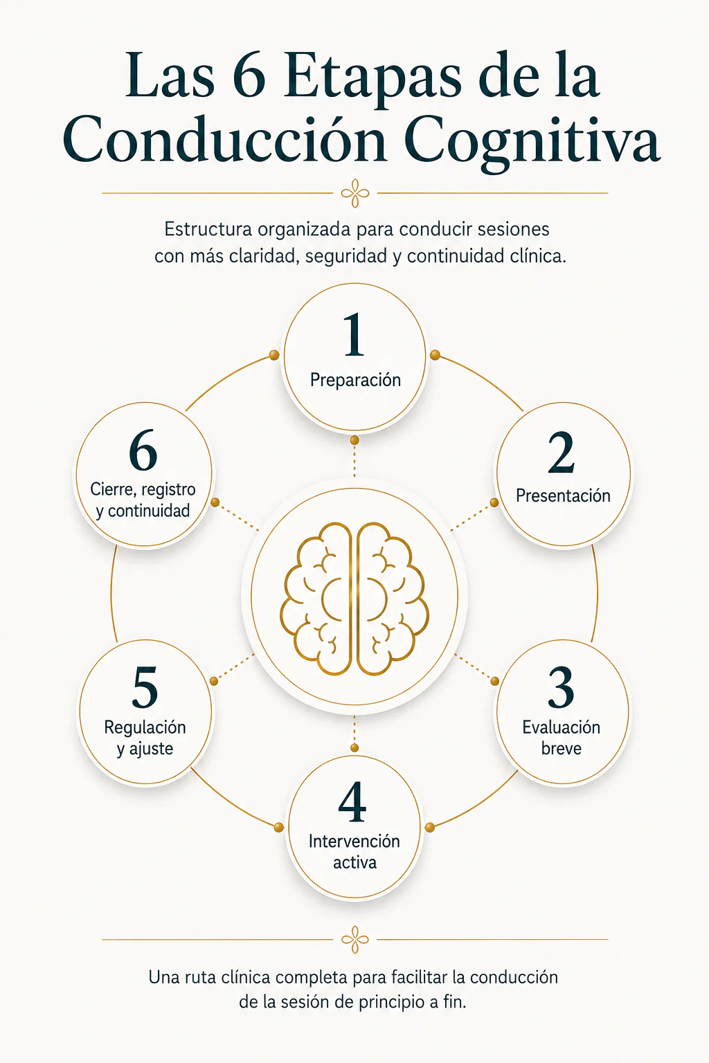 Las 6 Etapas de la Conducción Cognitiva